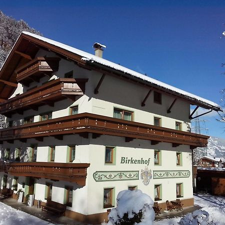 Pension Birkenhof Майерхофен Екстериор снимка